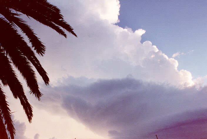 updraft thunderstorm_updrafts : Ballina, NSW   1 January 1990