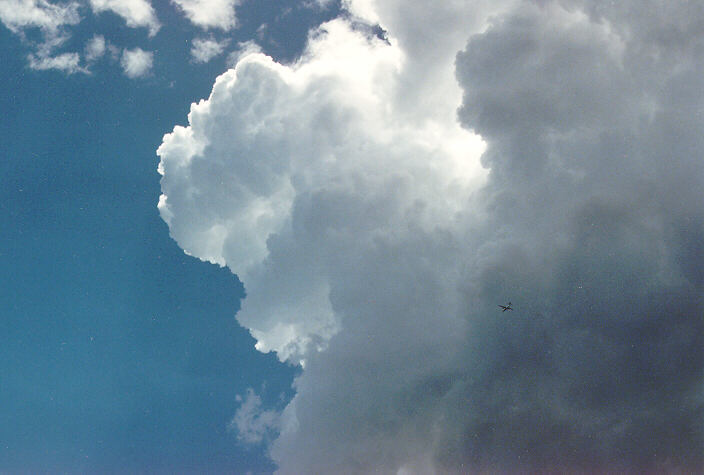 updraft thunderstorm_updrafts : Ballina, NSW   27 January 1991