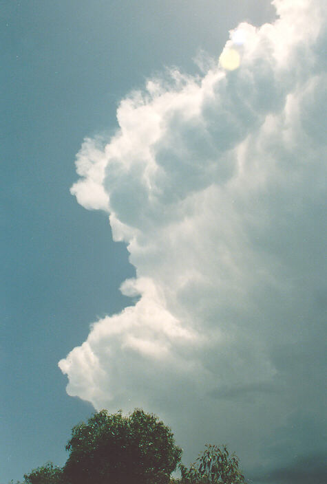 updraft thunderstorm_updrafts : Oakhurst, NSW   5 December 1992