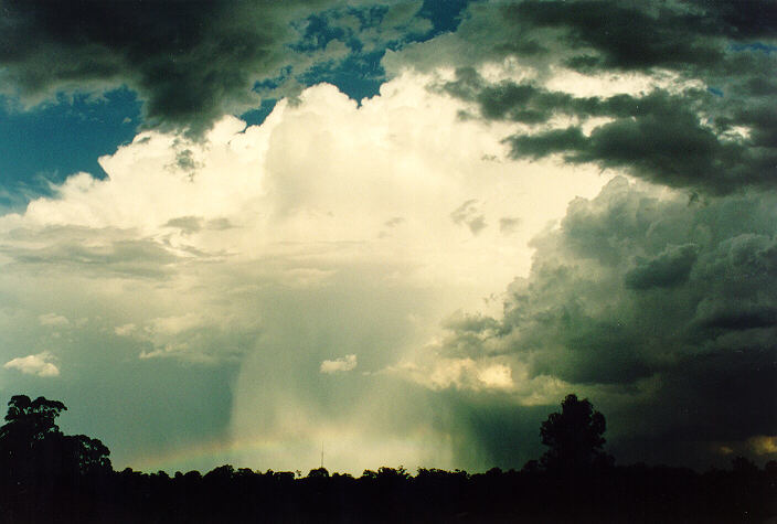 raincascade precipitation_cascade : Oakhurst, NSW   17 January 1994