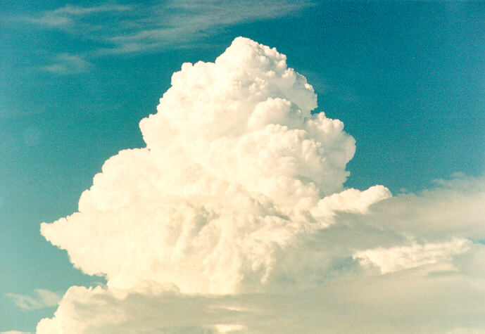 updraft thunderstorm_updrafts : Schofields, NSW   6 February 1994