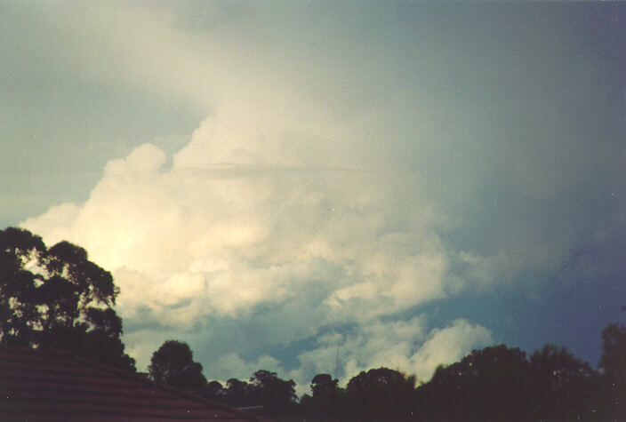 updraft thunderstorm_updrafts : Oakhurst, NSW   4 November 1994