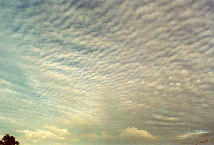 altocumulus mackerel_sky : Oakhurst, NSW   20 May 1995