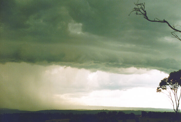 raincascade precipitation_cascade : Luddenham, NSW   18 November 1995
