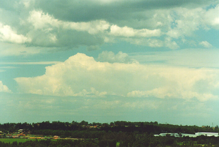 thunderstorm cumulonimbus_incus : Rooty Hill, NSW   18 December 1995