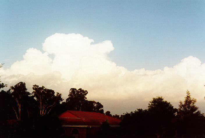 thunderstorm cumulonimbus_calvus : Oakhurst, NSW   25 January 1996