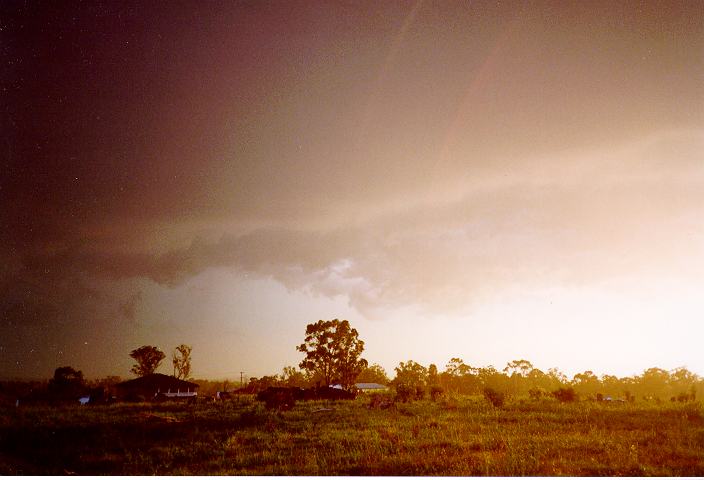 rainbow rainbow_pictures : Schofields, NSW   8 February 1996