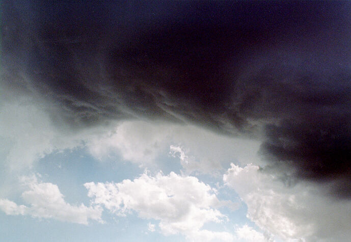 updraft thunderstorm_updrafts : McGraths Hill, NSW   4 December 1996