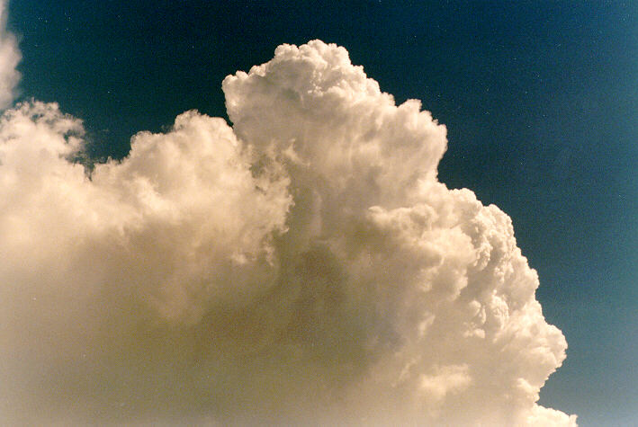 updraft thunderstorm_updrafts : Schofields, NSW   23 March 1997