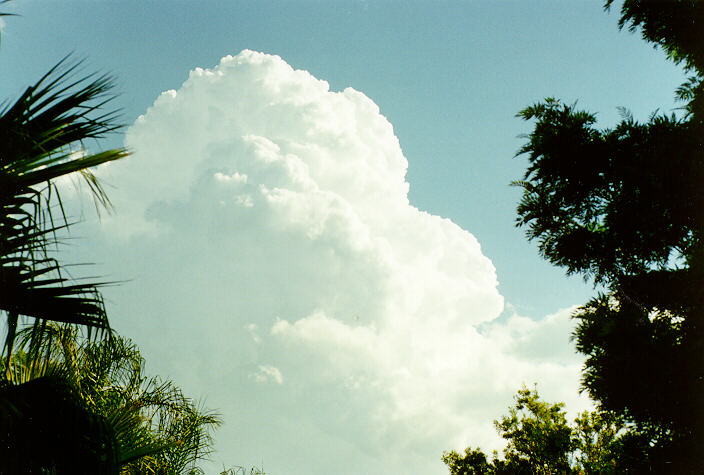 thunderstorm cumulonimbus_calvus : Oakhurst, NSW   23 March 1997