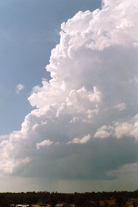 updraft thunderstorm_updrafts : Schofields, NSW   30 March 1997