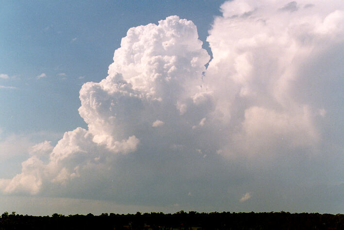 updraft thunderstorm_updrafts : Schofields, NSW   30 March 1997