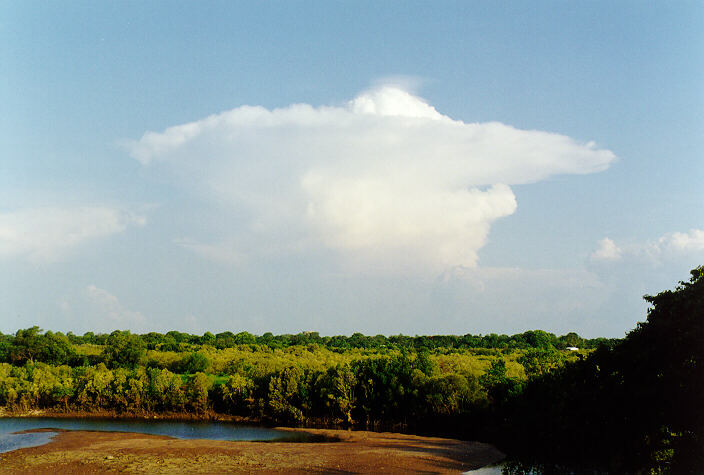 thunderstorm cumulonimbus_incus : Darwin, NT   4 December 1997