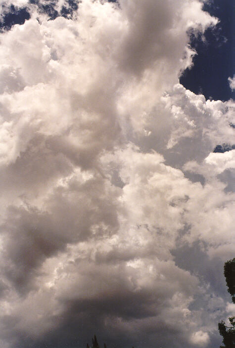 updraft thunderstorm_updrafts : Wyee, NSW   22 December 1997