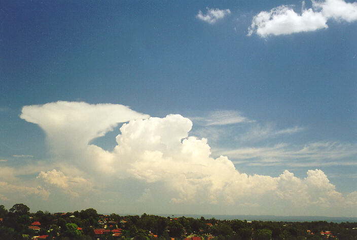thunderstorm cumulonimbus_incus : Rooty Hill, NSW   1 February 1998