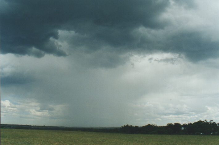 raincascade precipitation_cascade : Rooty Hill, NSW   26 October 1998