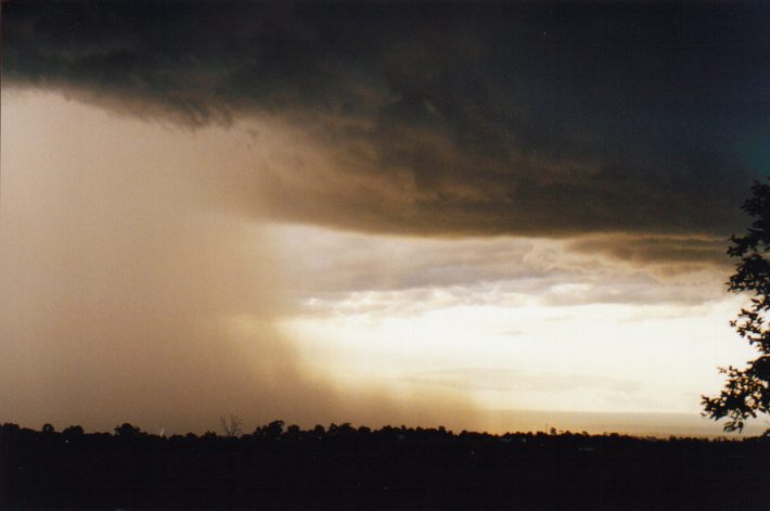 raincascade precipitation_cascade : Horsley Park, NSW   13 November 1998