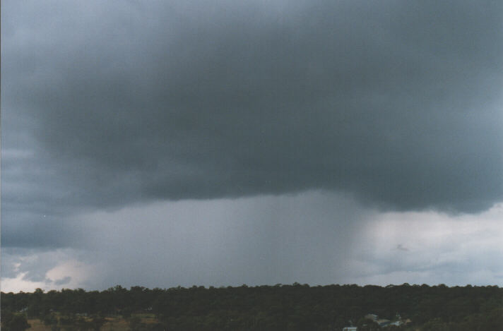 raincascade precipitation_cascade : Schofields, NSW   1 January 1999