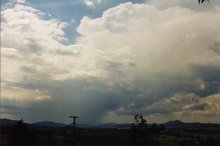 thunderstorm cumulonimbus_calvus : Quirindi, NSW   7 March 1999