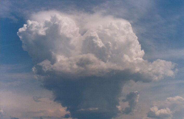 pileus pileus_cap_cloud : Rooty Hill, NSW   13 March 1999