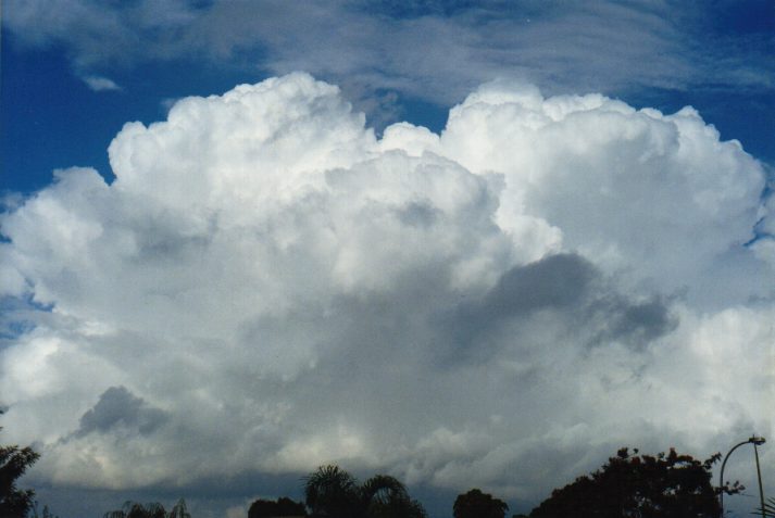 thunderstorm cumulonimbus_calvus : Oakhurst, NSW   23 May 1999