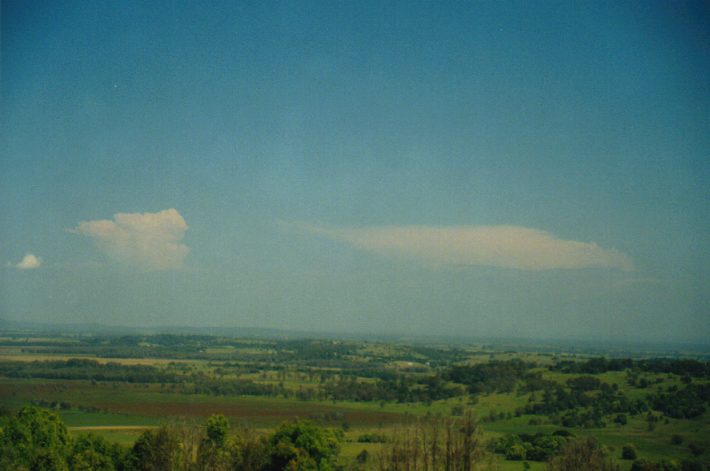 thunderstorm cumulonimbus_calvus : Rous, NSW   25 September 1999