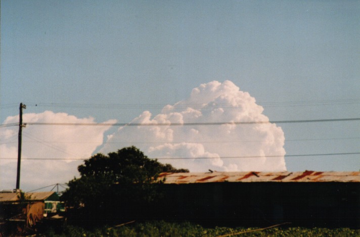 thunderstorm cumulonimbus_calvus : Schofields, NSW   29 September 1999