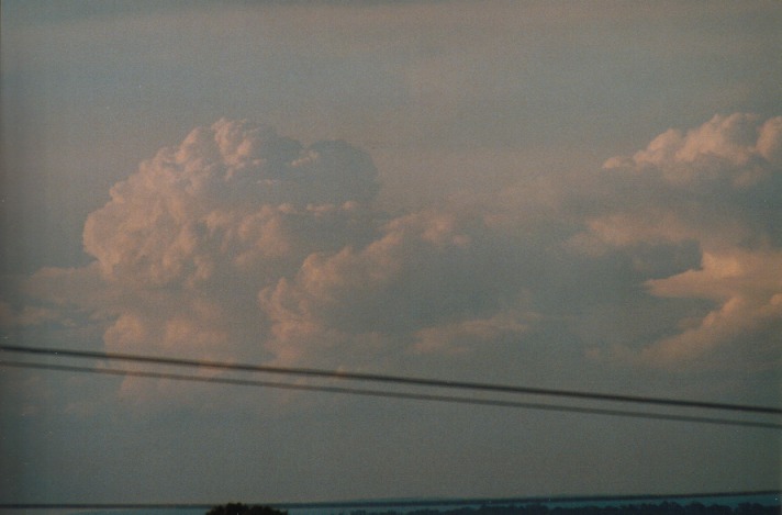 thunderstorm cumulonimbus_calvus : Schofields, NSW   2 October 1999