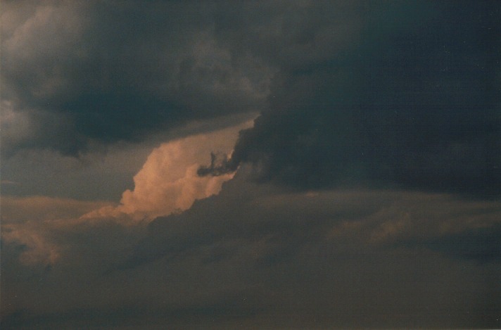 thunderstorm cumulonimbus_calvus : Rooty Hill, NSW   18 October 1999