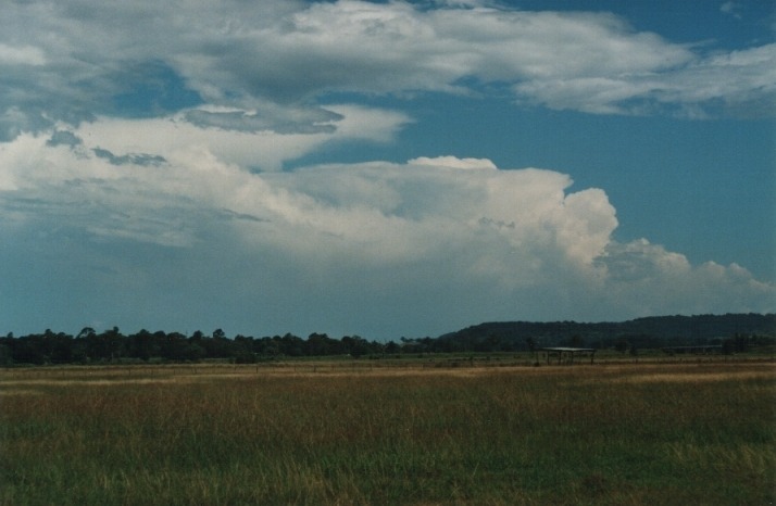 thunderstorm cumulonimbus_incus : Camden, NSW   4 January 2000