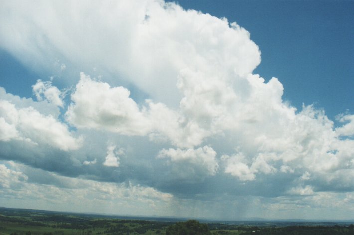 thunderstorm cumulonimbus_incus : Rous, NSW   5 January 2000