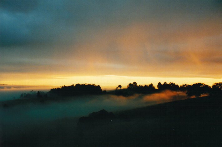 fogmist fog_mist_frost : McLeans Ridges, NSW   20 June 2000