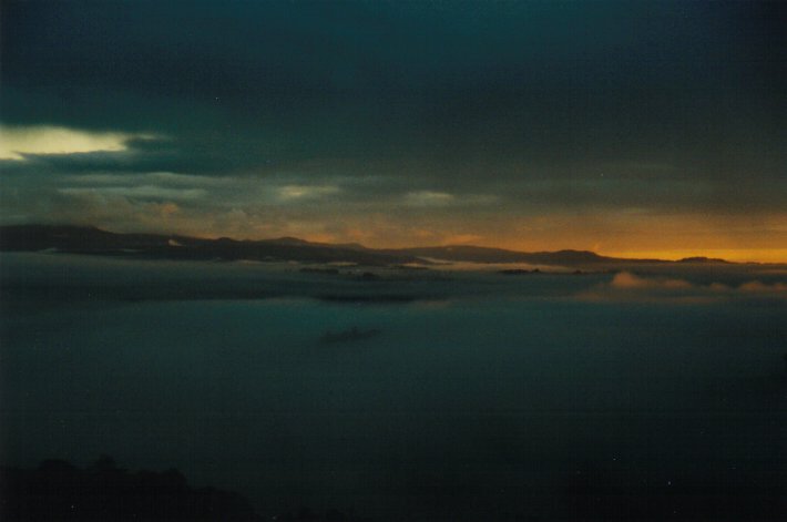fogmist fog_mist_frost : McLeans Ridges, NSW   20 June 2000
