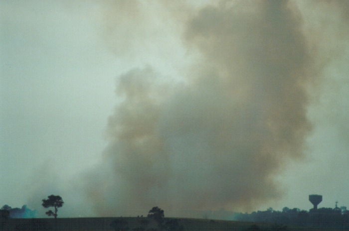 bushfire wild_fire : Schofields, NSW   8 October 2000