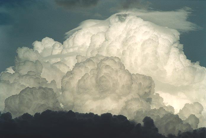 thunderstorm cumulonimbus_calvus : 40km N of Banana, Qld   21 November 2000