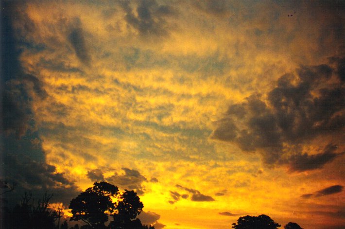 sunset sunset_pictures : McLeans Ridges, NSW   8 December 2000