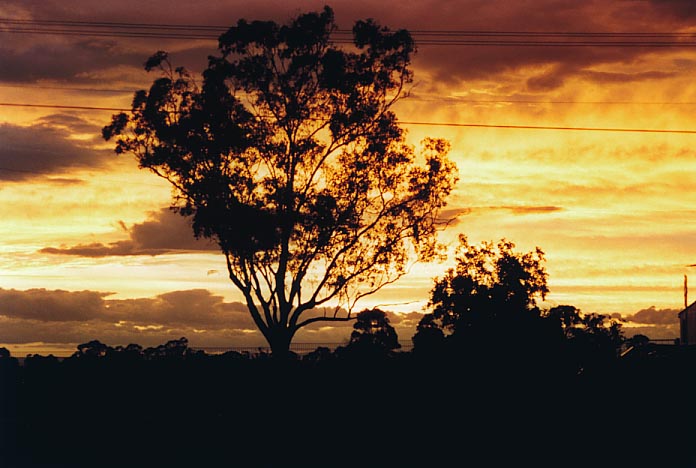 sunset sunset_pictures : Schofields, NSW   23 December 2000
