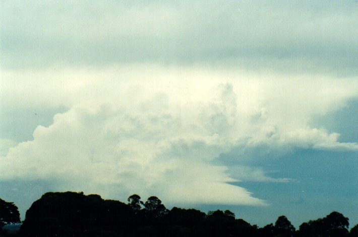 inflowband thunderstorm_inflow_band : McLeans Ridges, NSW   11 November 2001