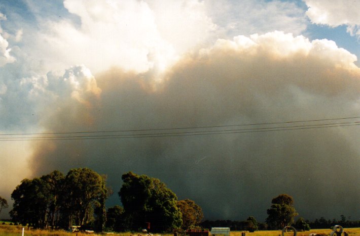 bushfire wild_fire : Woodburn, NSW   22 December 2001