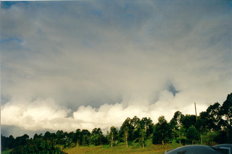 altocumulus altocumulus_cloud : McLeans Ridges, NSW   8 April 2002