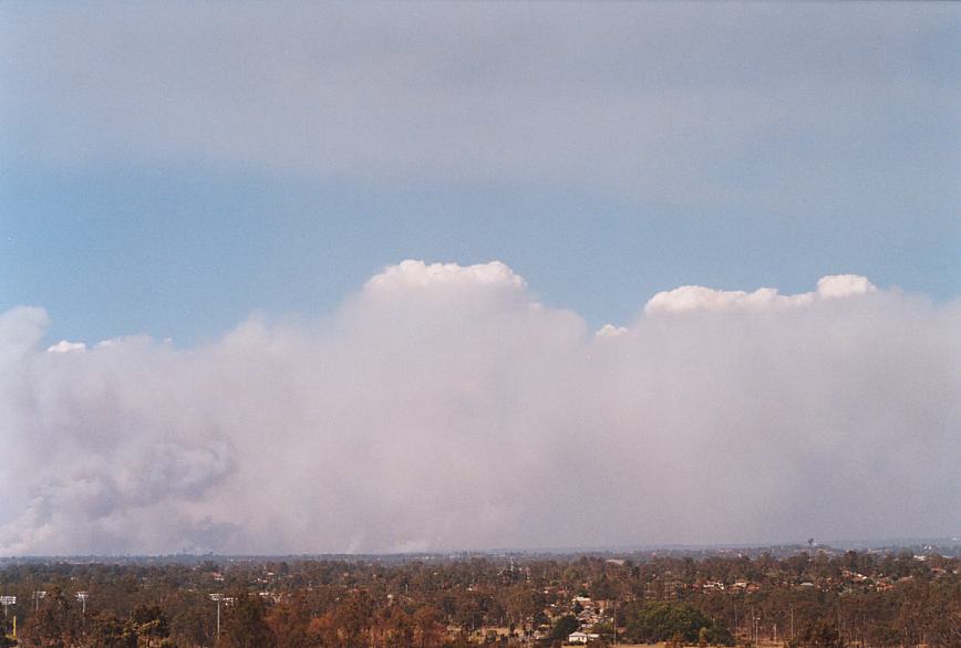 bushfire wild_fire : Rooty Hill, NSW   5 December 2002
