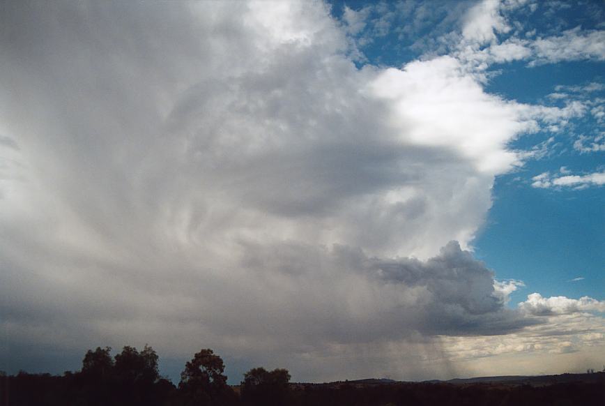 thunderstorm cumulonimbus_incus : near Jerrys Plains, NSW   15 December 2002