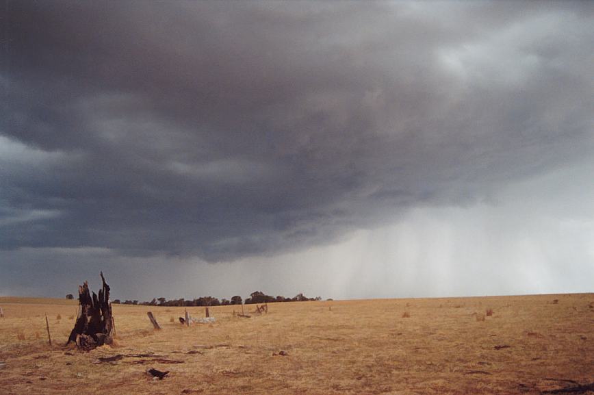 raincascade precipitation_cascade : Orange, NSW   28 December 2002