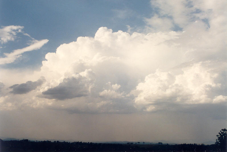 thunderstorm cumulonimbus_calvus : N of Casino, NSW   19 January 2003
