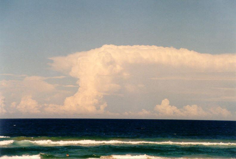 thunderstorm cumulonimbus_incus : Gold Coast, QLD   22 March 2003