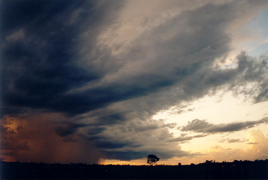 wallcloud thunderstorm_wall_cloud : Coraki, NSW   22 March 2003