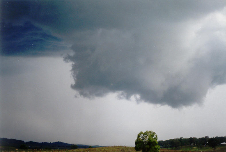 cumulonimbus thunderstorm_base : Mummulgum, NSW   25 October 2003