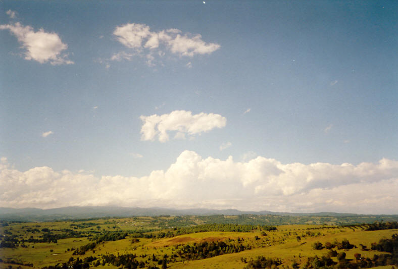 thunderstorm cumulonimbus_calvus : McLeans Ridges, NSW   23 November 2003