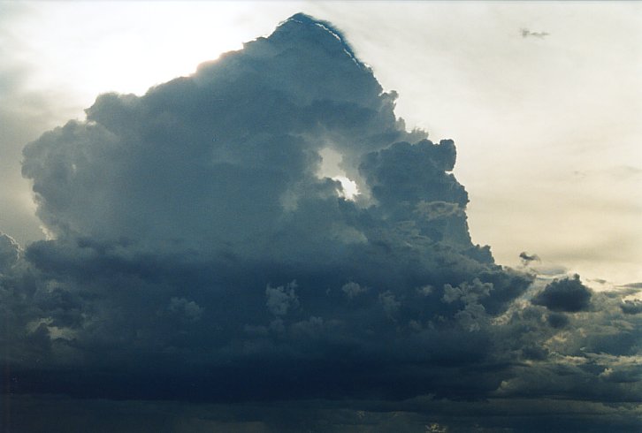 thunderstorm cumulonimbus_calvus : E of Hay, NSW   3 December 2003