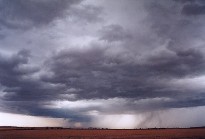 contributions received : SW of Quirindi, NSW<BR>Photo by Geoff Thurtell   10 January 2004